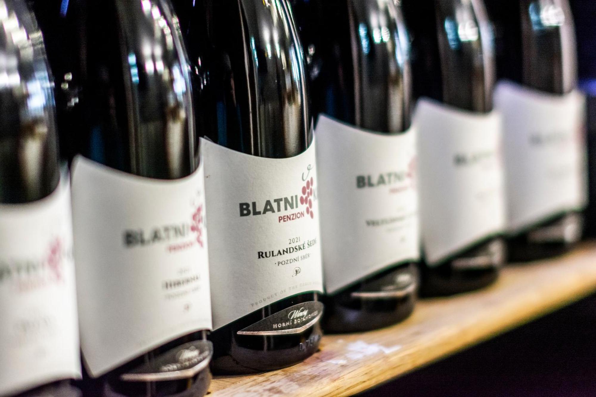 Penzion Blatnička エクステリア 写真